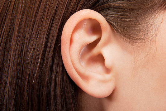 Why Healthy Ears Matter